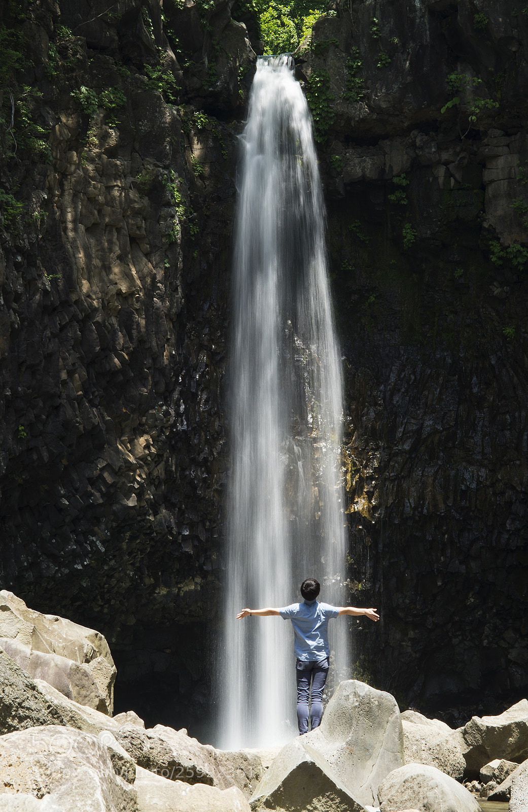 Nikon D4 sample photo. 자유 photography