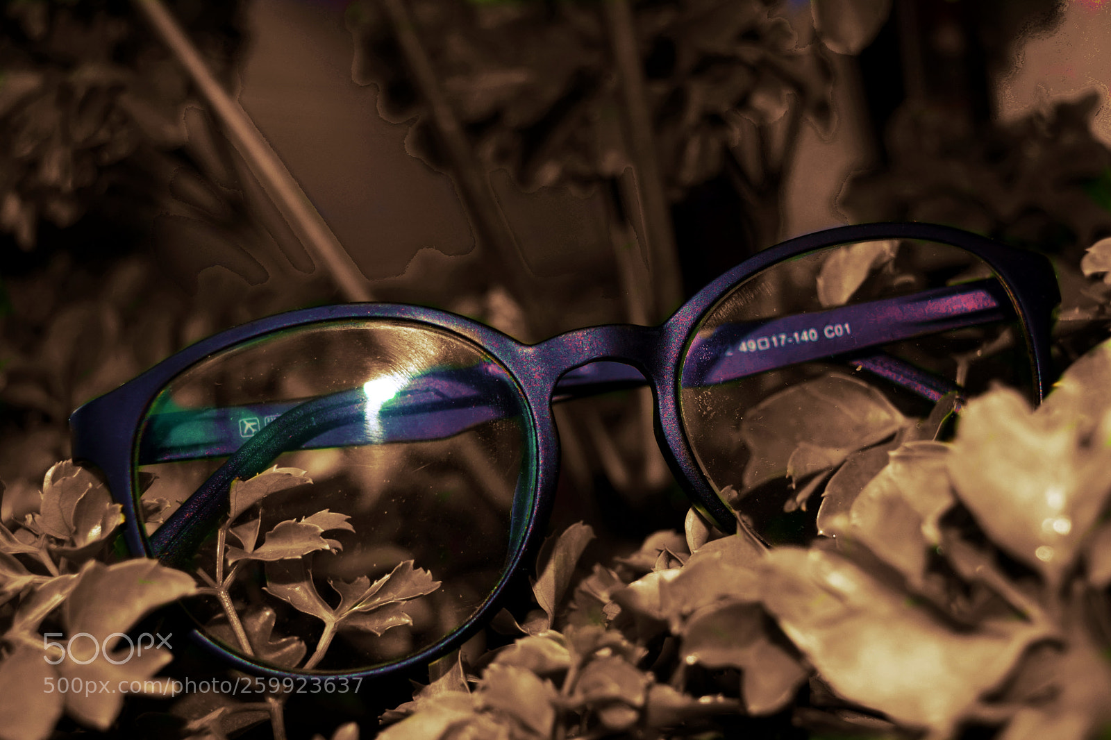 Nikon D3300 sample photo. Hulagway phm photography