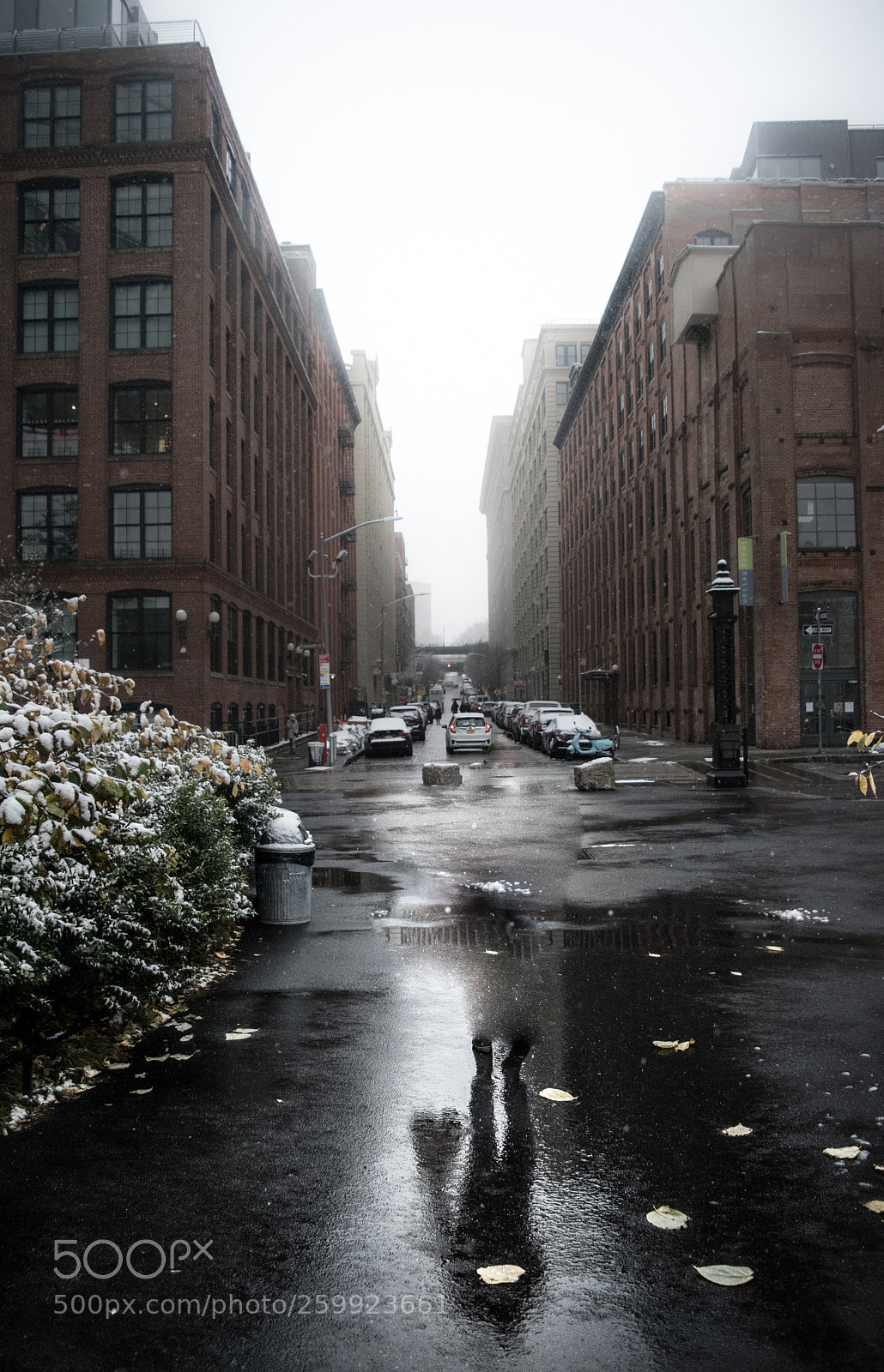 Nikon D5500 sample photo. Man_8512-2.jpg photography