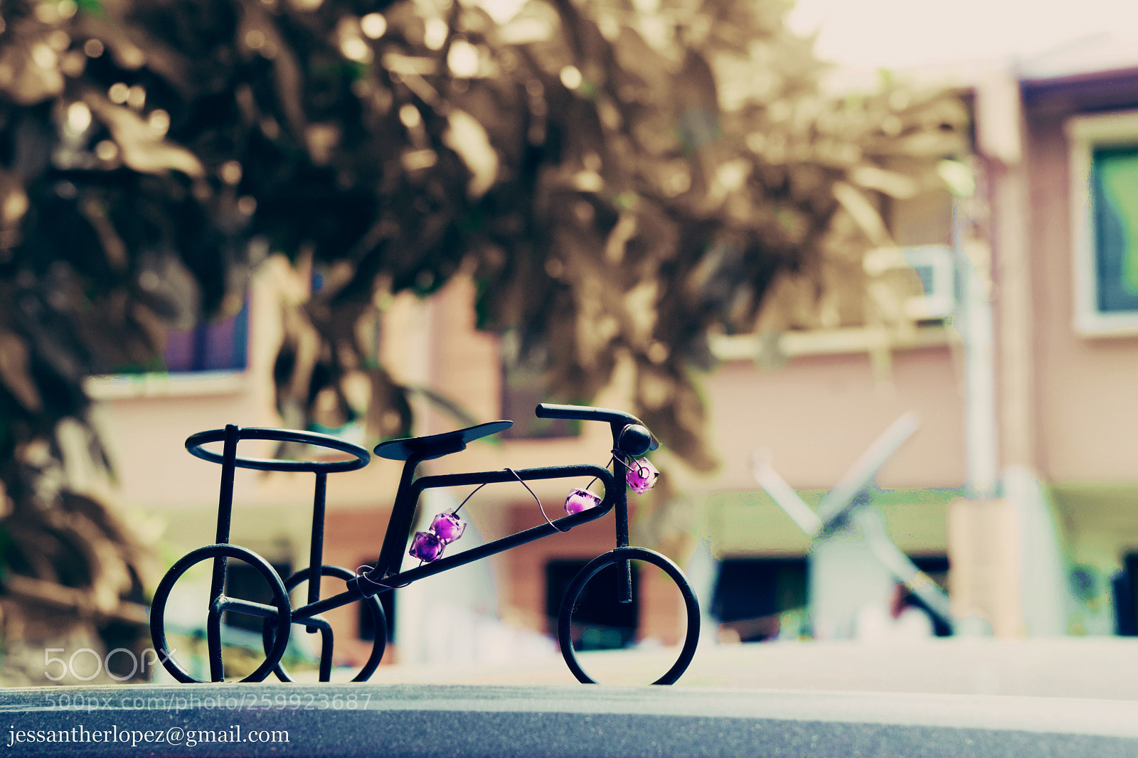 Nikon D3300 sample photo. Hulagway phm photography
