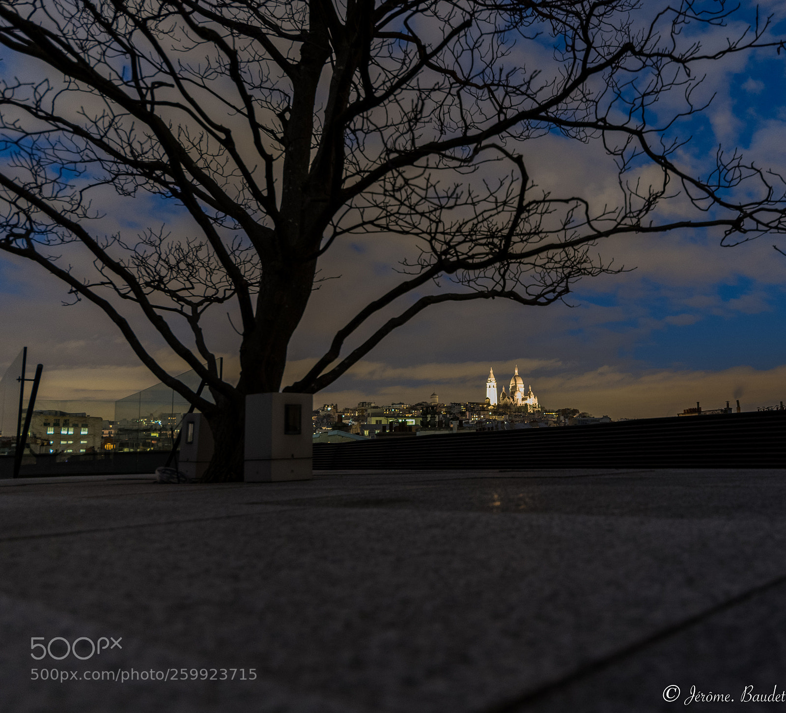 Nikon D7500 sample photo. L'arbre photography