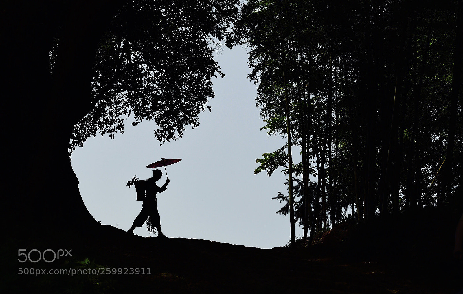 Nikon D5 sample photo. Mountain girl photography