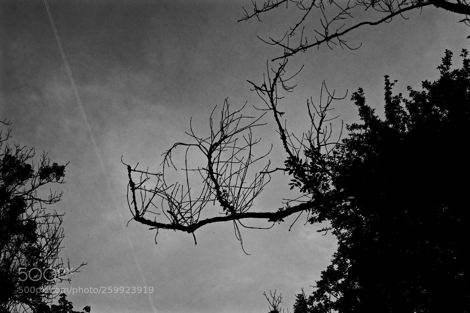 Nikon D3300 sample photo. Gothic photography
