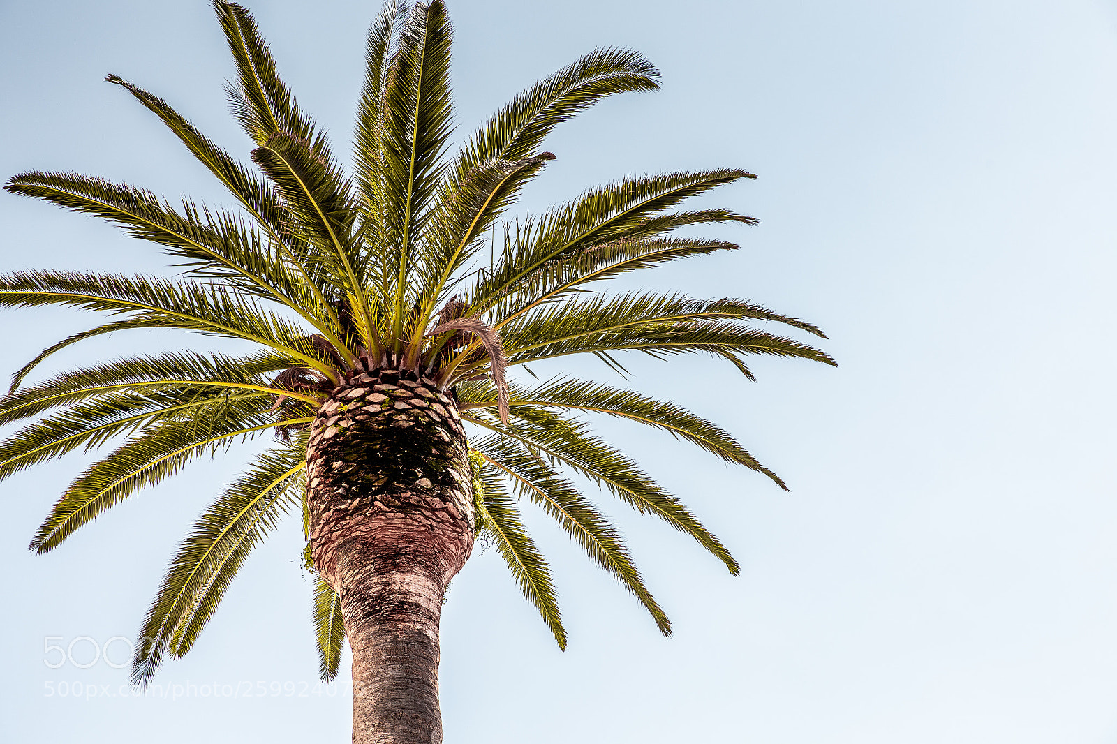Canon EOS 6D sample photo. Calvi (corse france) photography