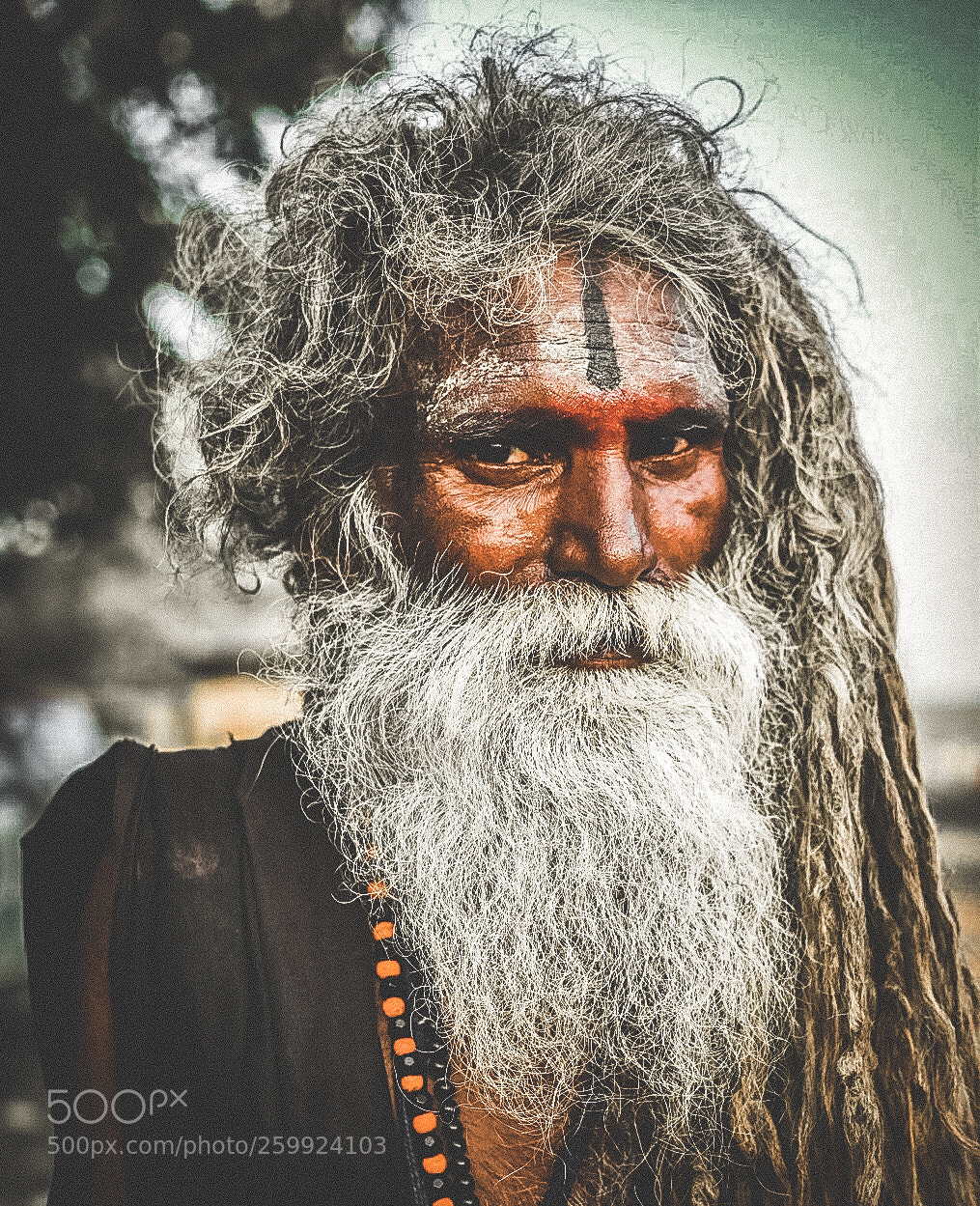 Nikon D5500 sample photo. Godmen photography