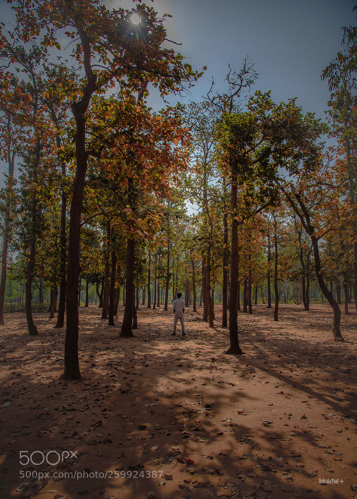 Nikon D750 sample photo. The nature and the photography