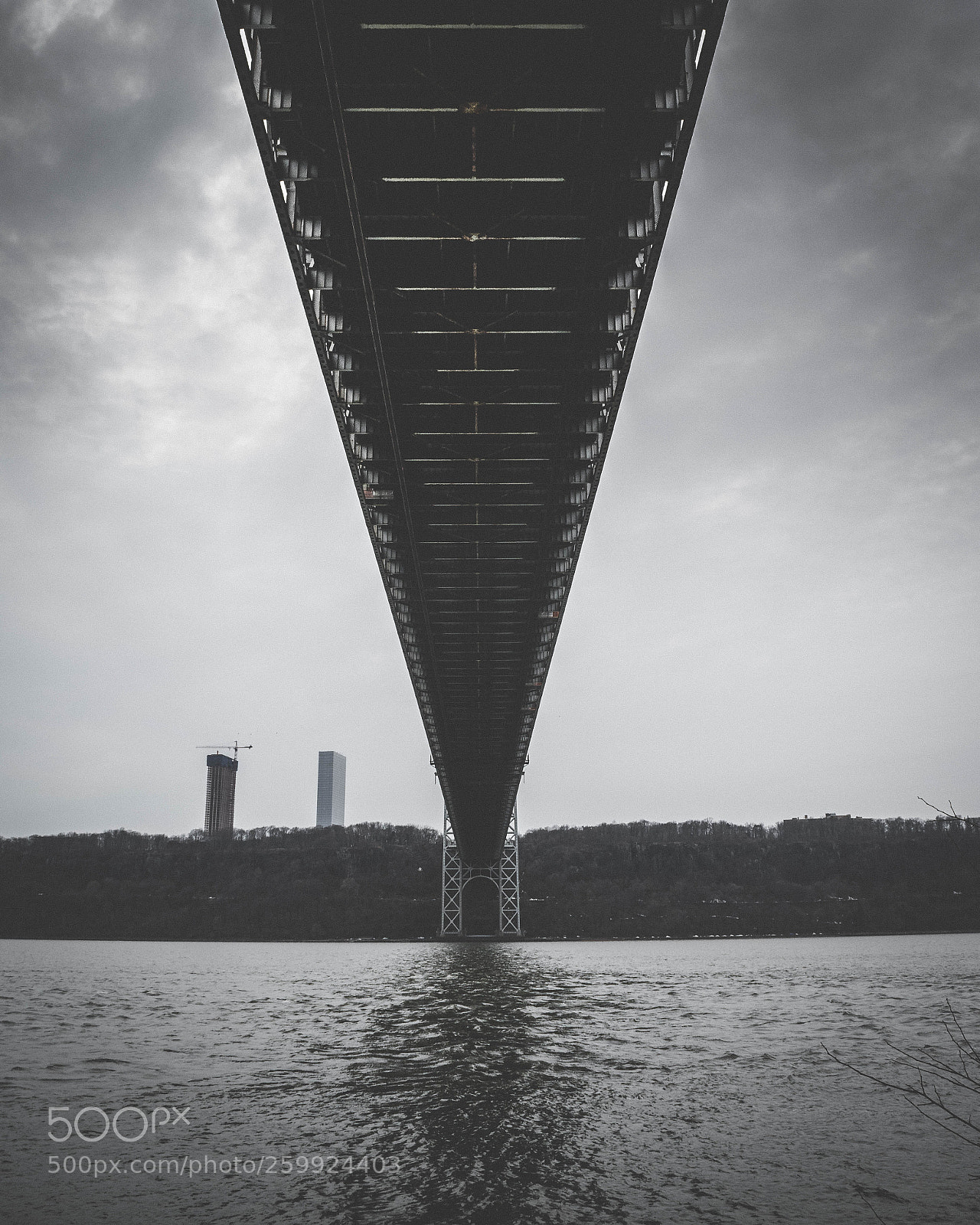 Nikon D5500 sample photo. Bridging therapy photography