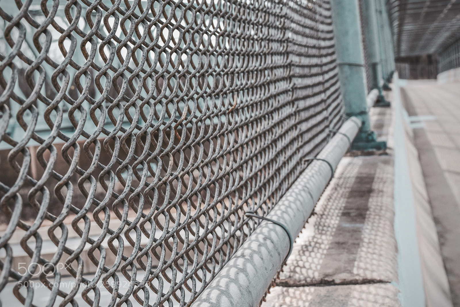 Nikon D3300 sample photo. Chain fence @ bike trail photography