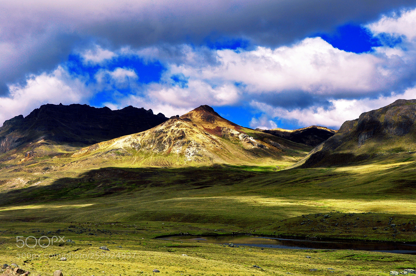 Nikon D90 sample photo. Andean cordillera photography