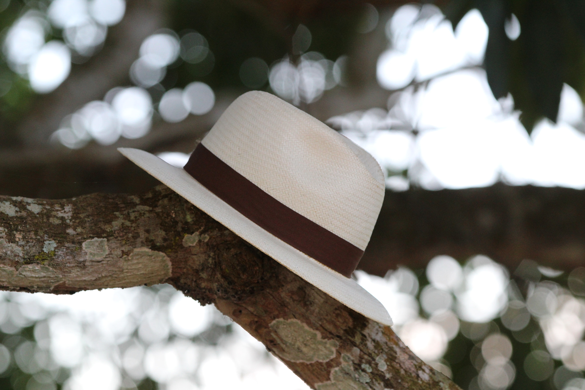 Canon EOS 1300D (EOS Rebel T6 / EOS Kiss X80) + Canon EF 70-200mm F2.8L IS II USM sample photo. My panama hat... photography