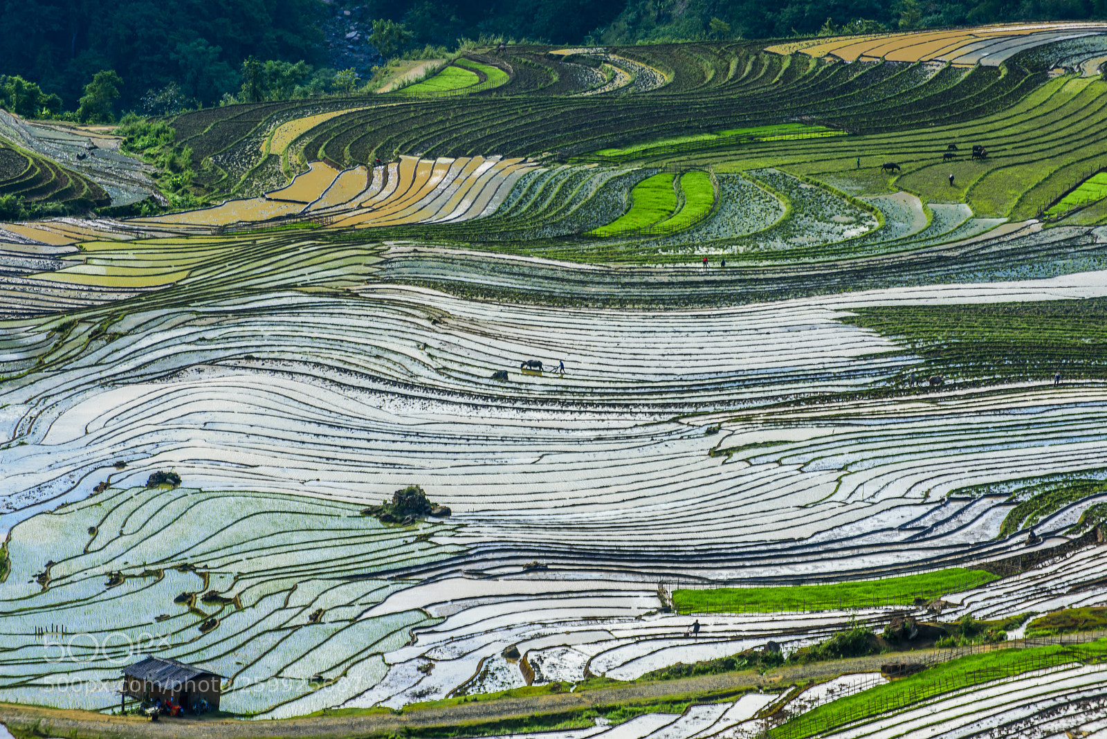 Nikon D750 sample photo. _pnt4547-2.jpg photography