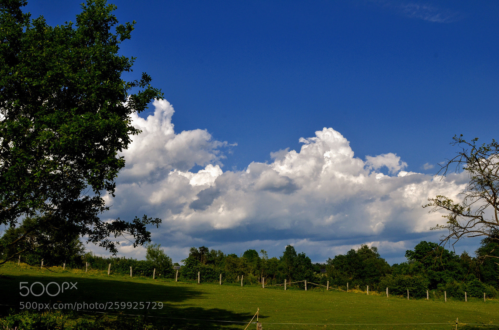 Nikon D7000 sample photo. Blues  photography