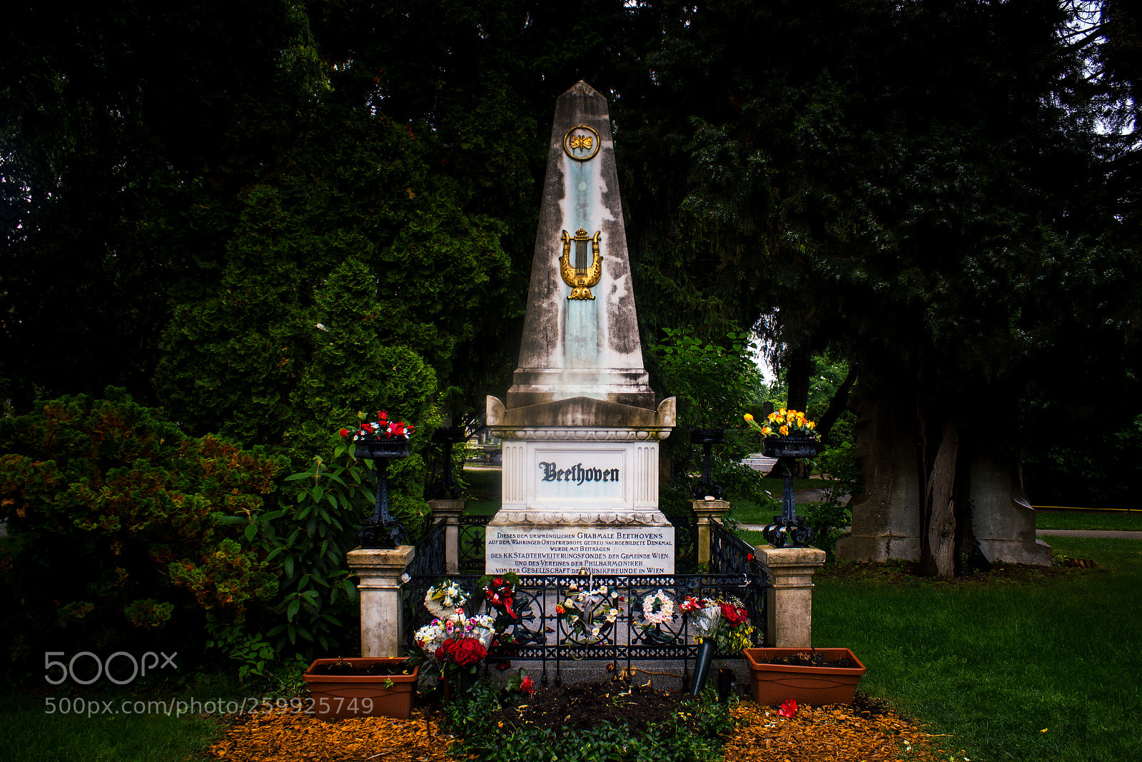 Canon EOS 600D (Rebel EOS T3i / EOS Kiss X5) sample photo. Maestro beethoven photography