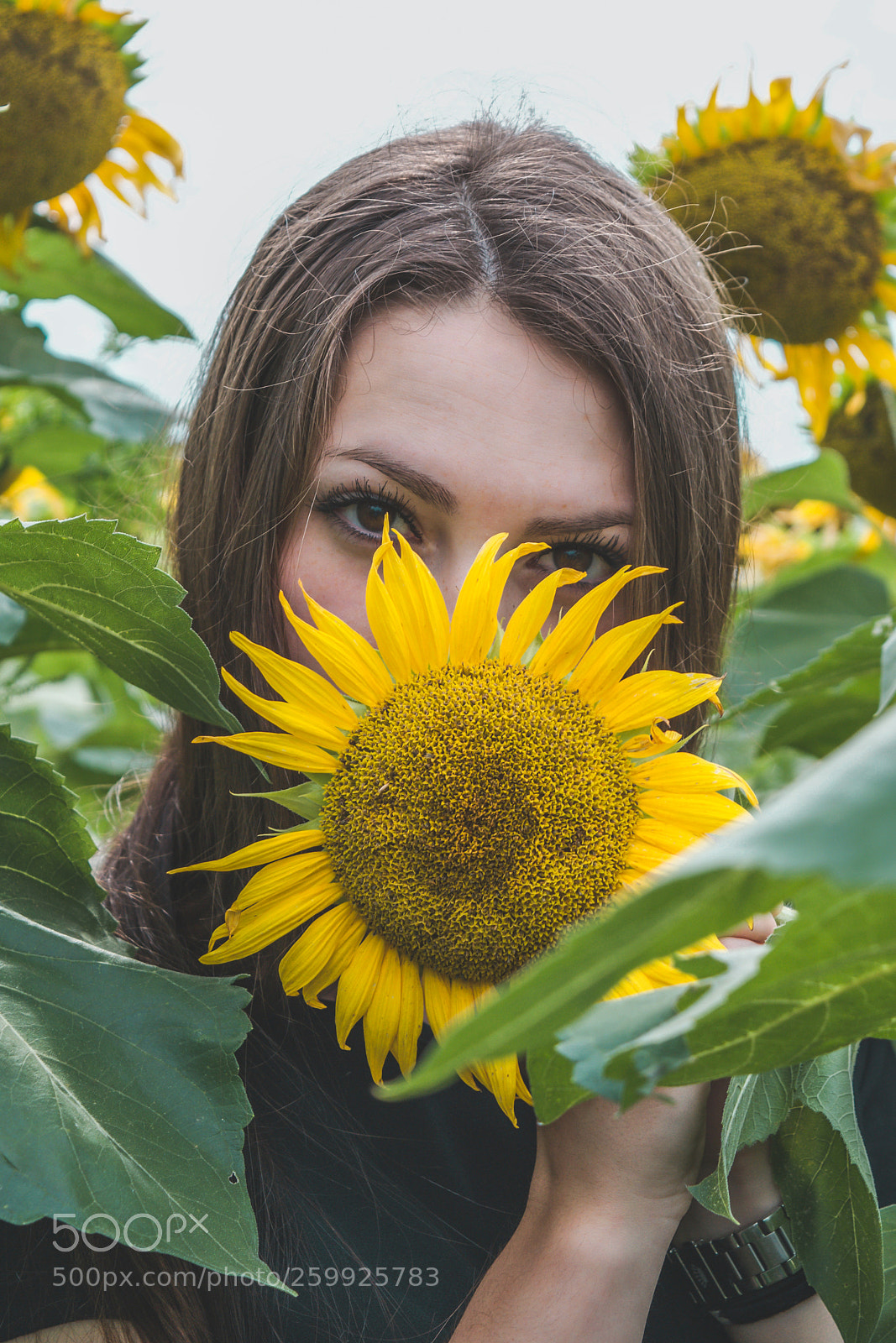 Nikon D3300 sample photo. Girlfriend w/ sun flower photography