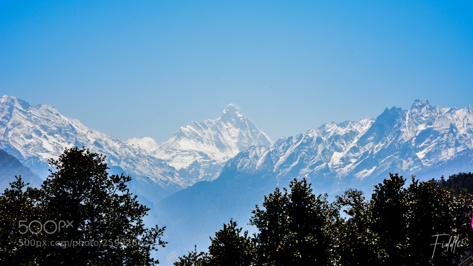 Nikon D5200 sample photo. Nanda devi photography