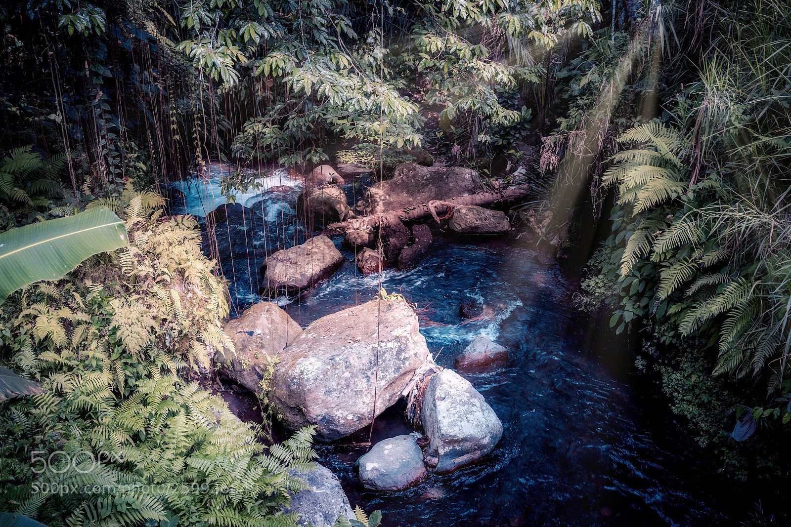 Sony a7 III sample photo. Secret glen photography