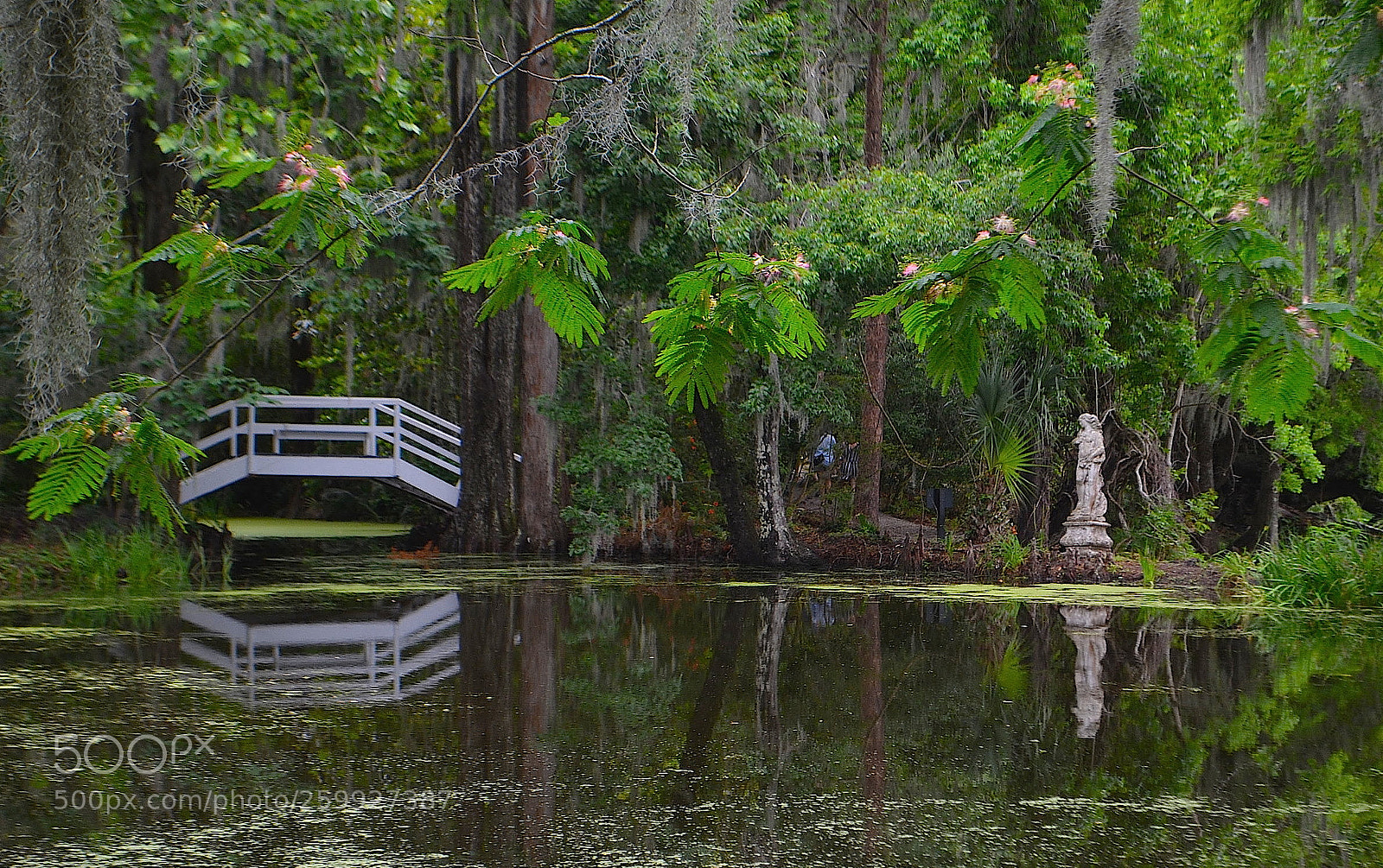 Nikon D5100 sample photo. Magnolia gardens, charleston, sc photography