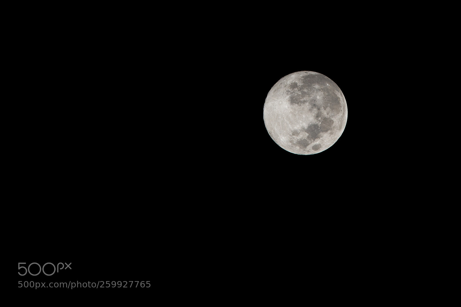 Nikon D7200 sample photo. Werewolf time photography