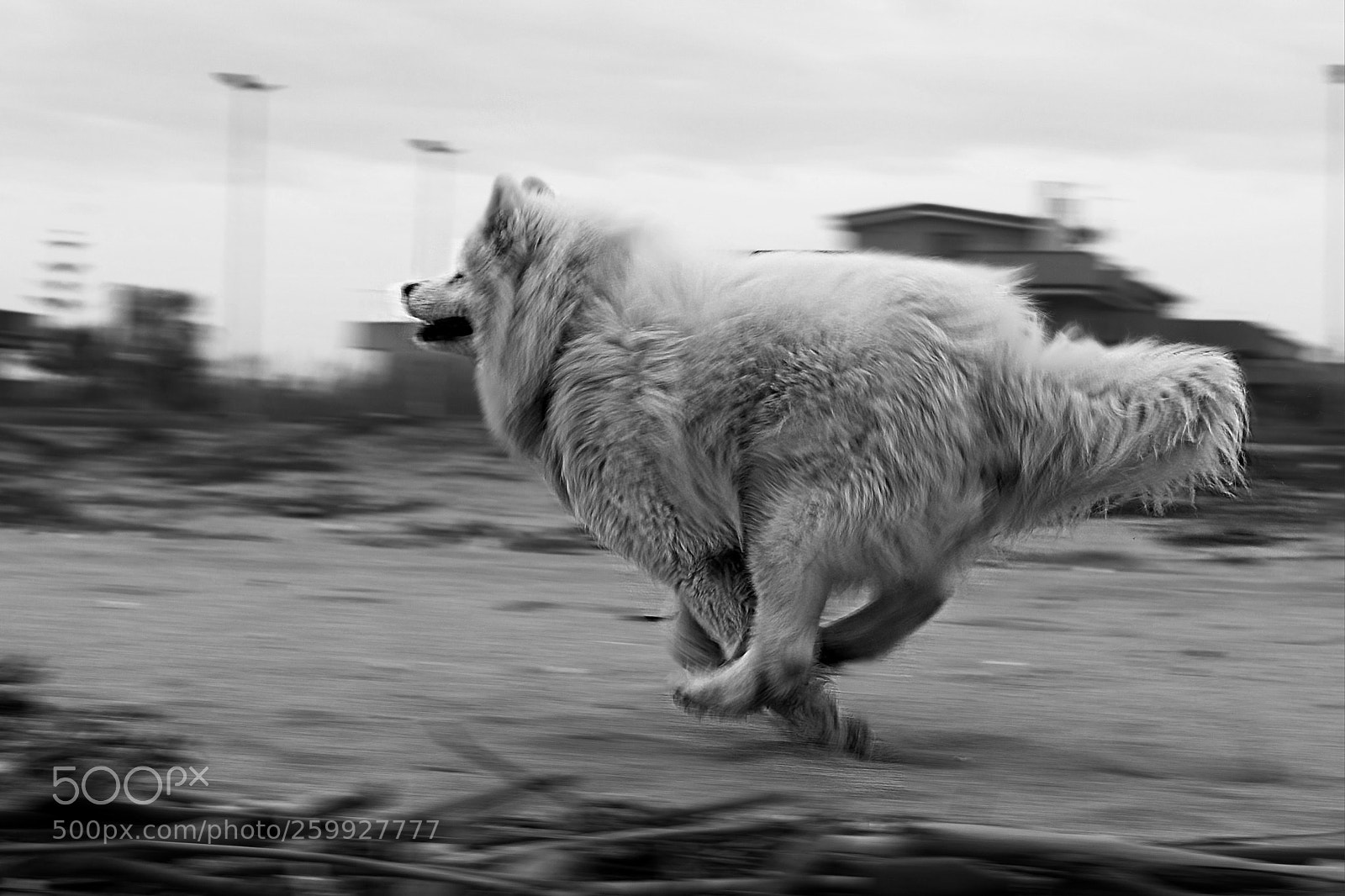 Nikon D5200 sample photo. Run photography