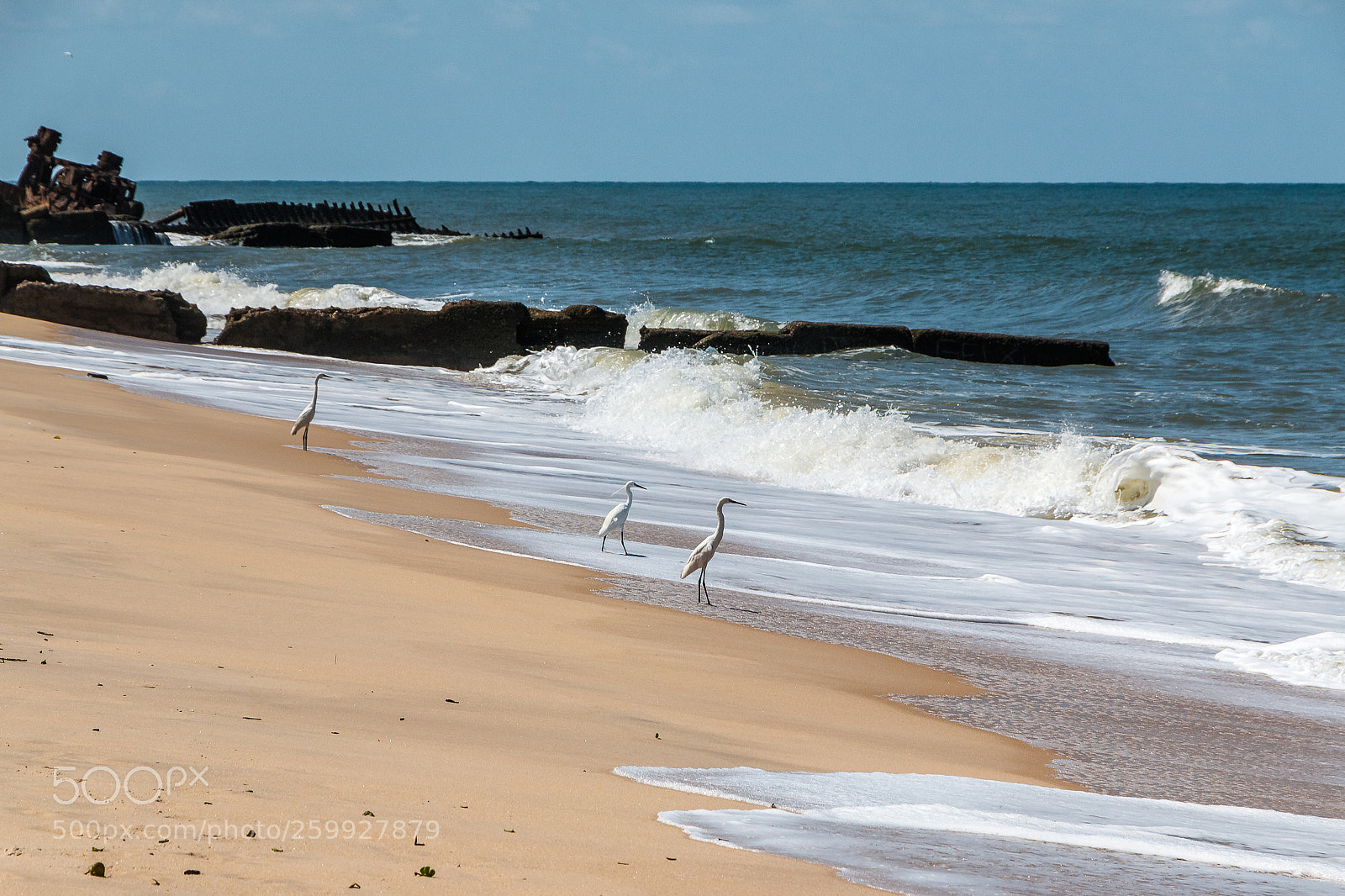Canon EOS 70D sample photo. Ilha de mosambik photography