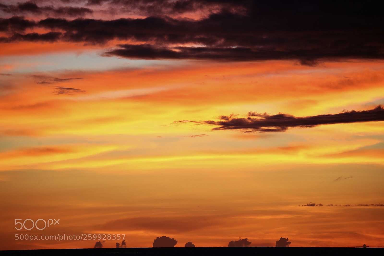 Canon EOS 6D sample photo. Elephant clouds photography