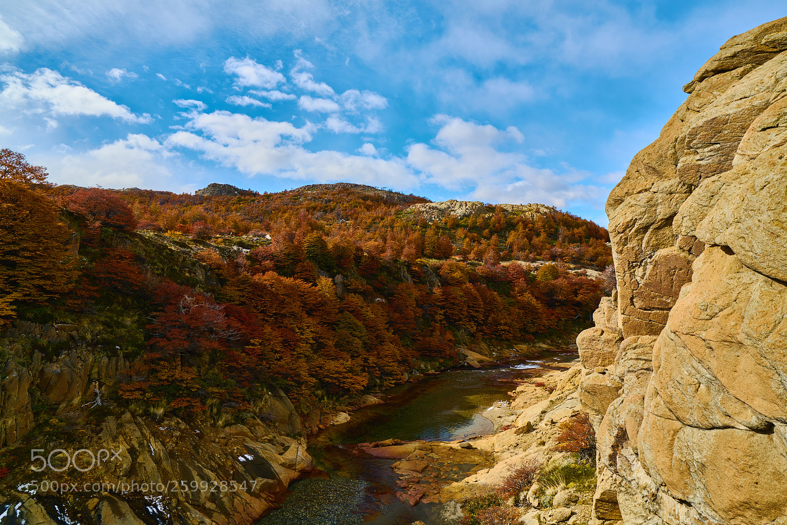 Sony a7R II sample photo. Landscape with autumn trees photography
