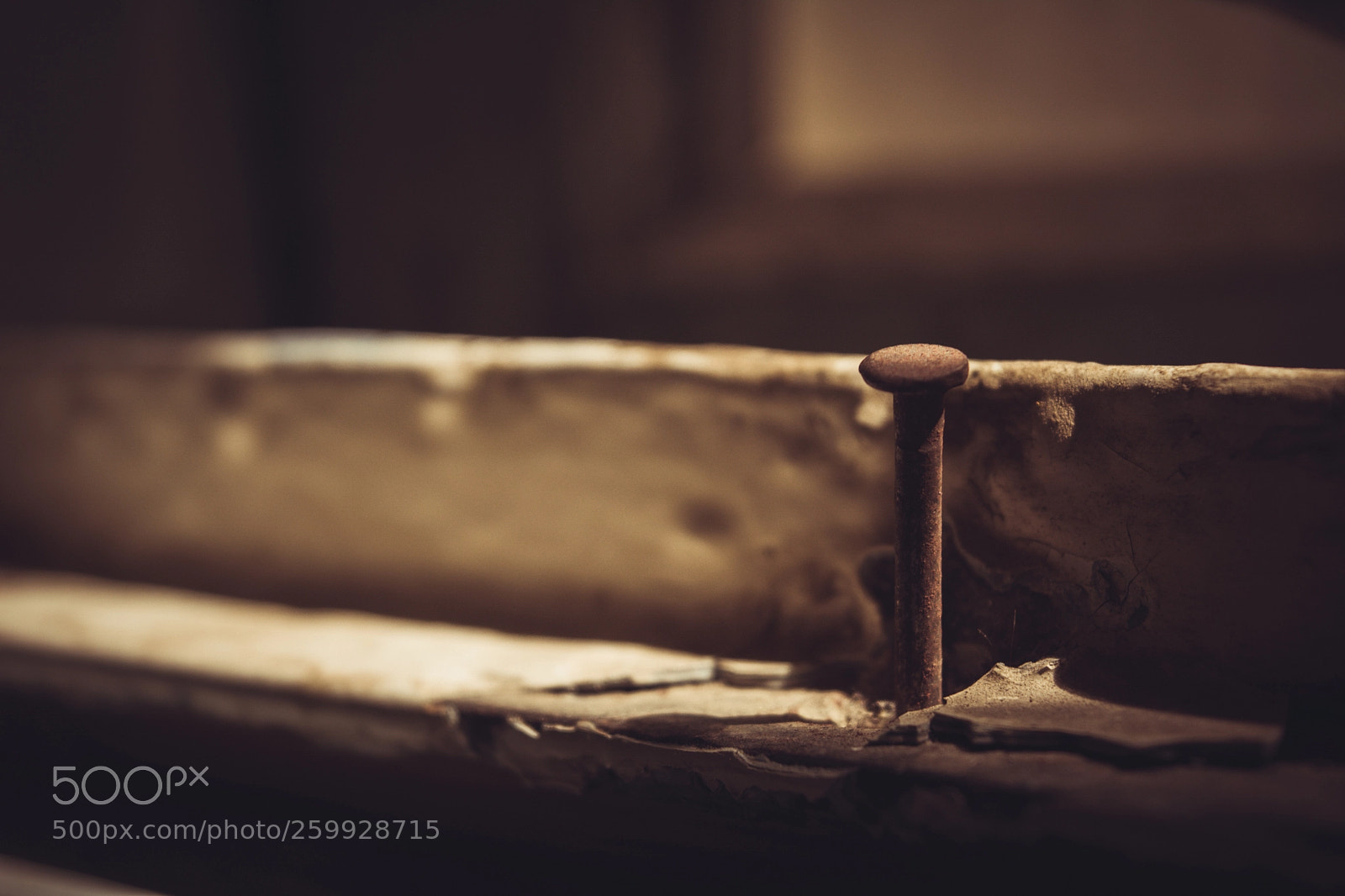 Nikon D5200 sample photo. Rusty nail photography