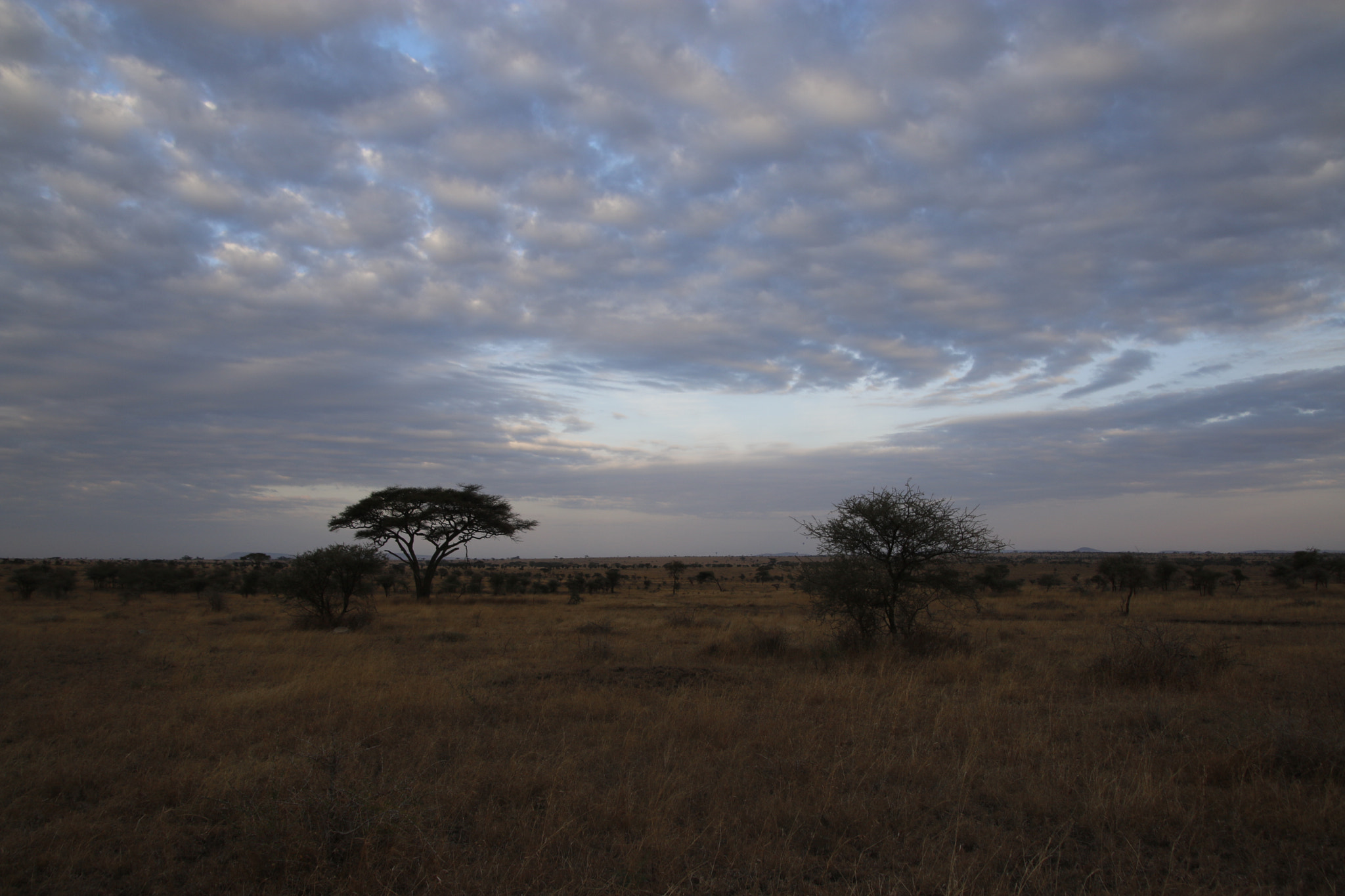 Canon EOS 70D sample photo. Mg photography