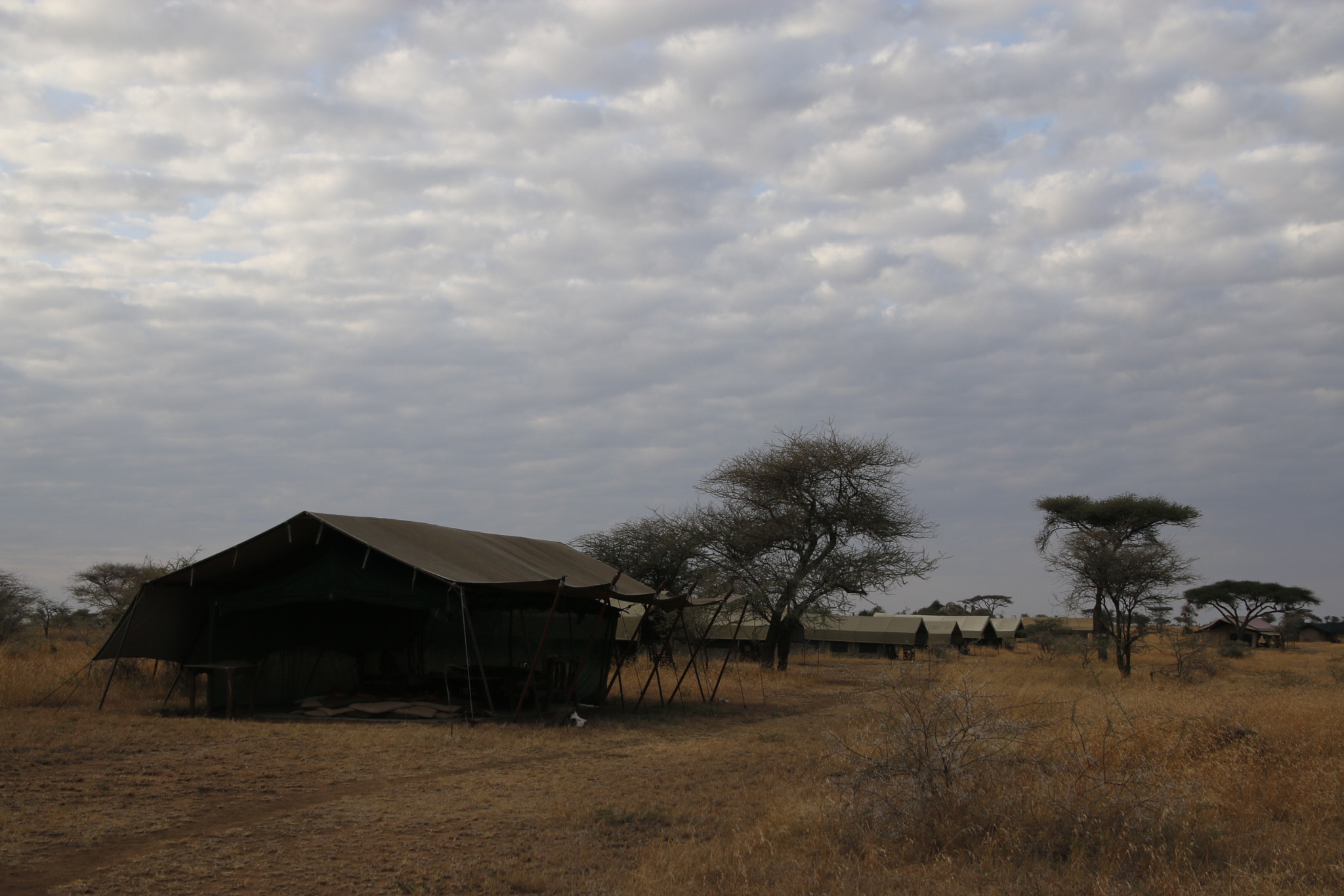 Canon EOS 70D sample photo. Mg photography