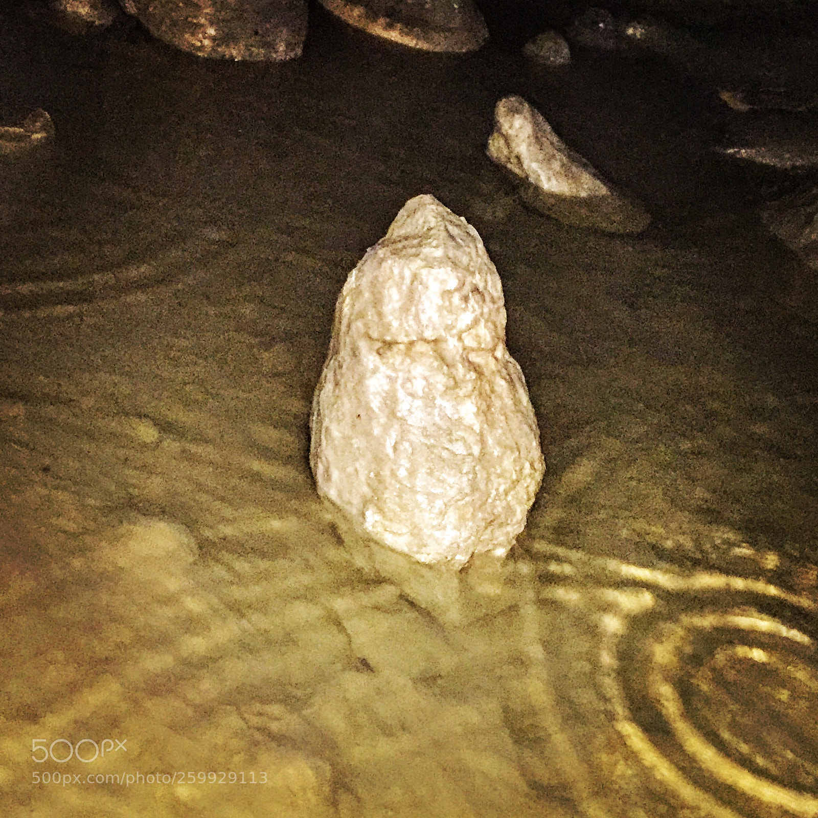 Apple iPhone 6 sample photo. Untitled photography