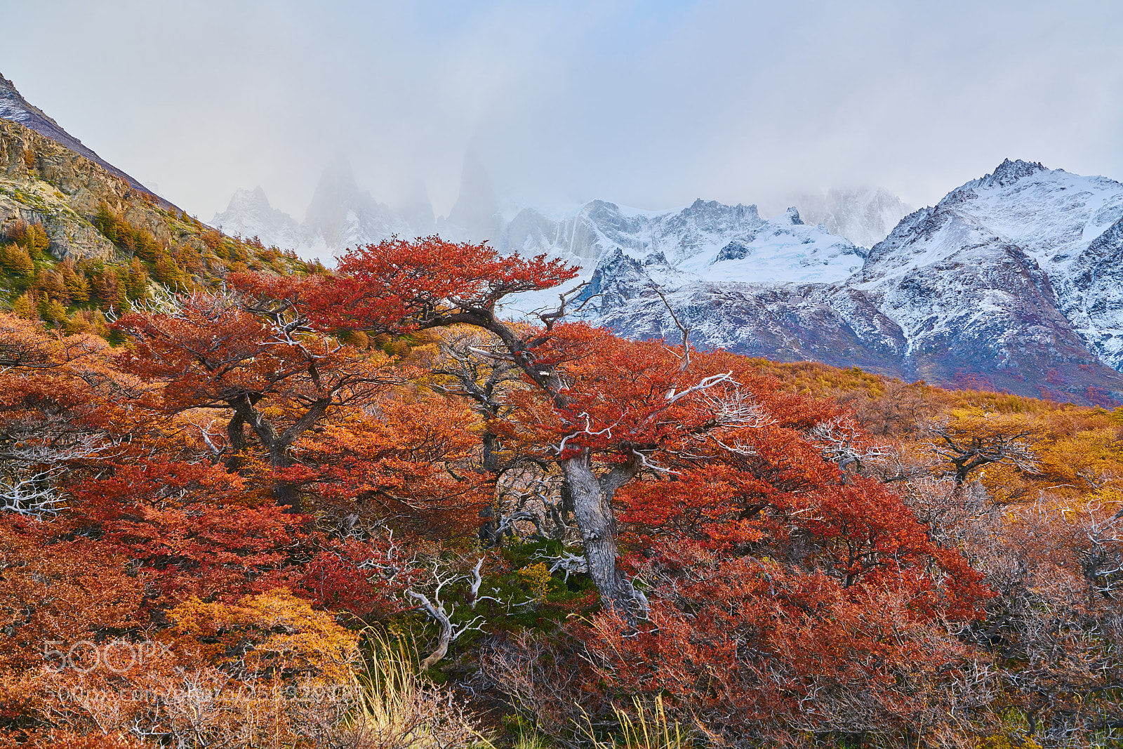 Sony a7R II sample photo. Landscape with autumn trees photography