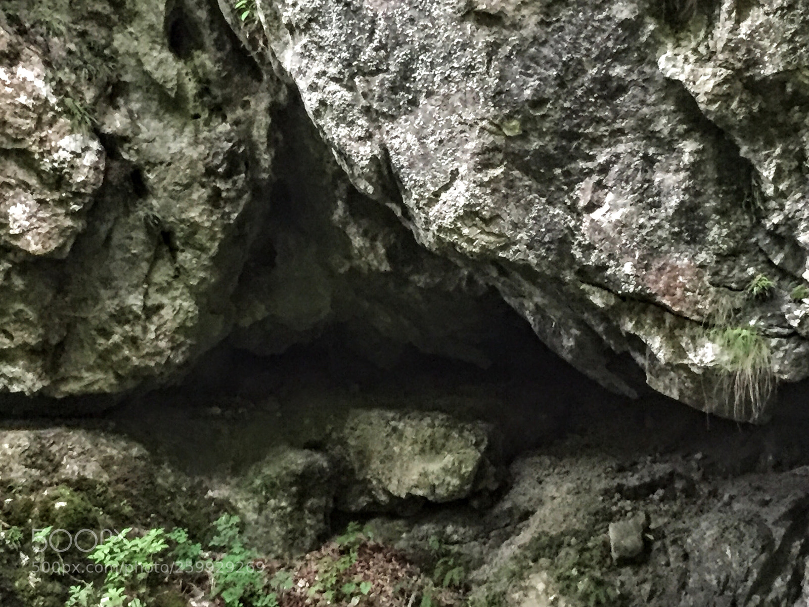 Apple iPhone 6 sample photo. Untitled photography