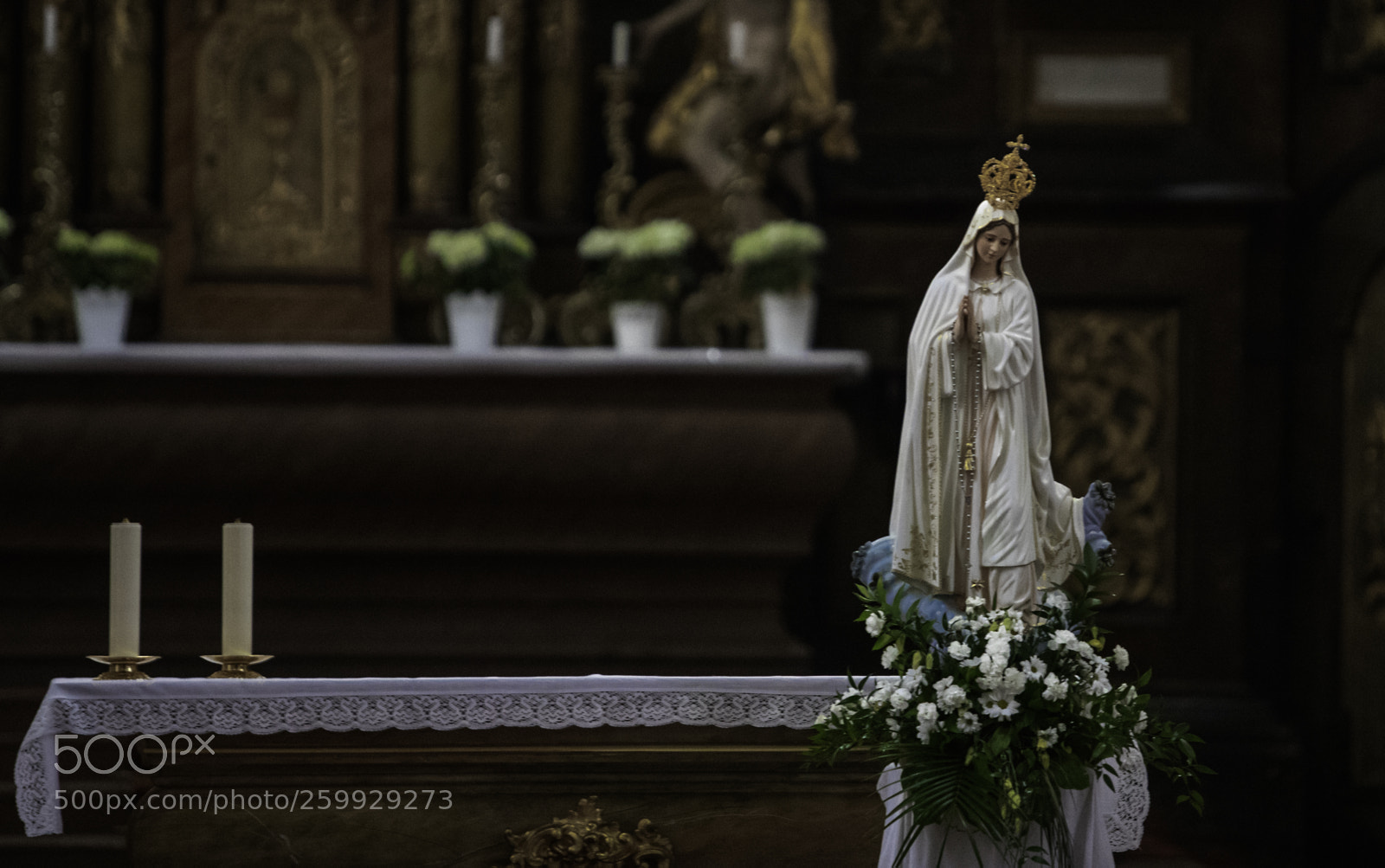 Canon EOS 5D Mark IV sample photo. Ready for mass photography