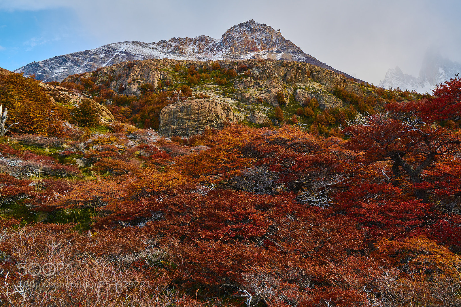 Sony a7R II sample photo. Landscape with autumn trees photography