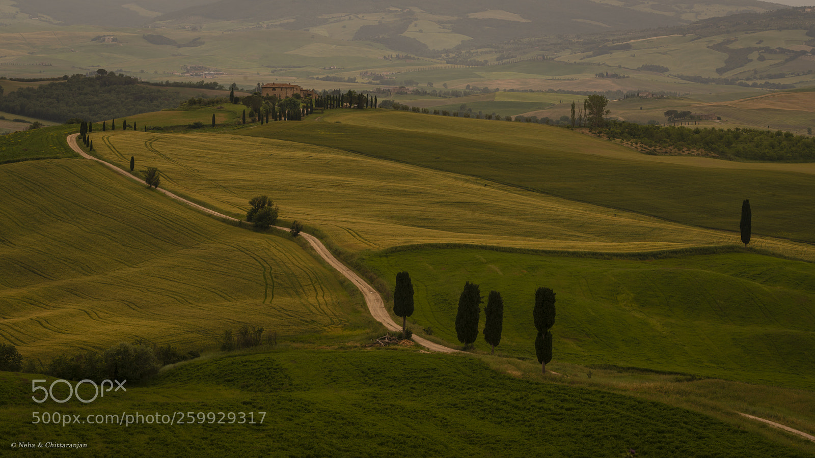 Sony a7R II sample photo. A tuscan canvas photography