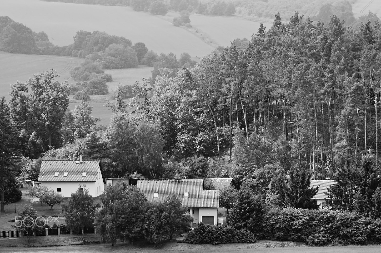 Nikon D5300 sample photo. Czech landscape of machuv kraj tourist area with houses of jestrebi village and pine forest... photography