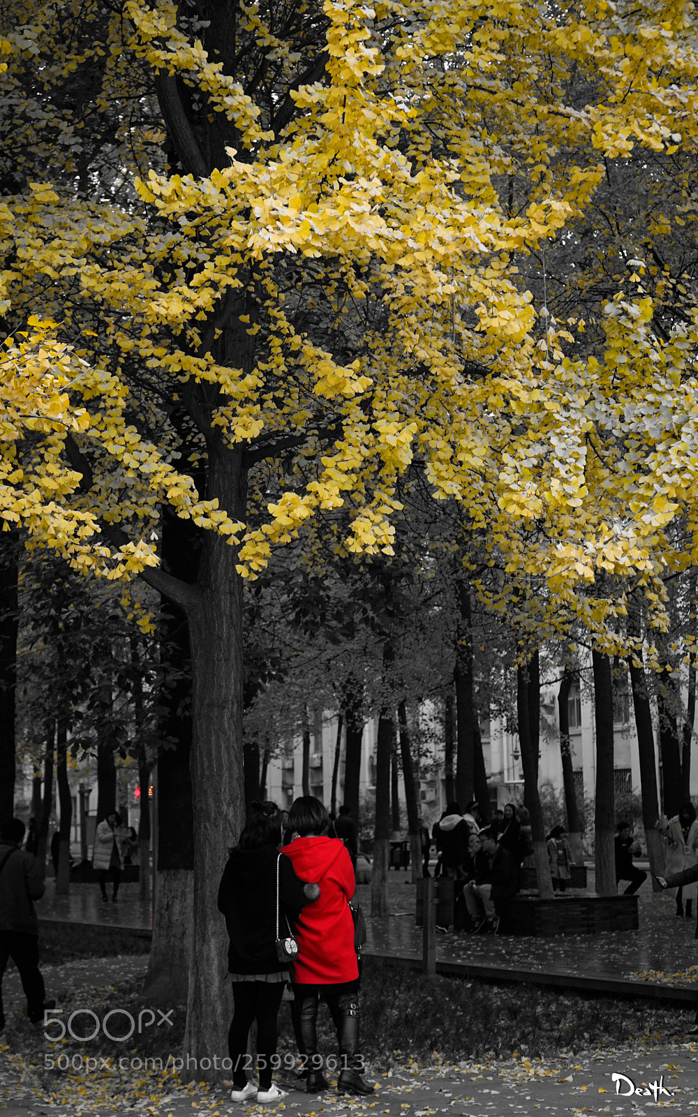 Sony a6000 sample photo. Autumn photography