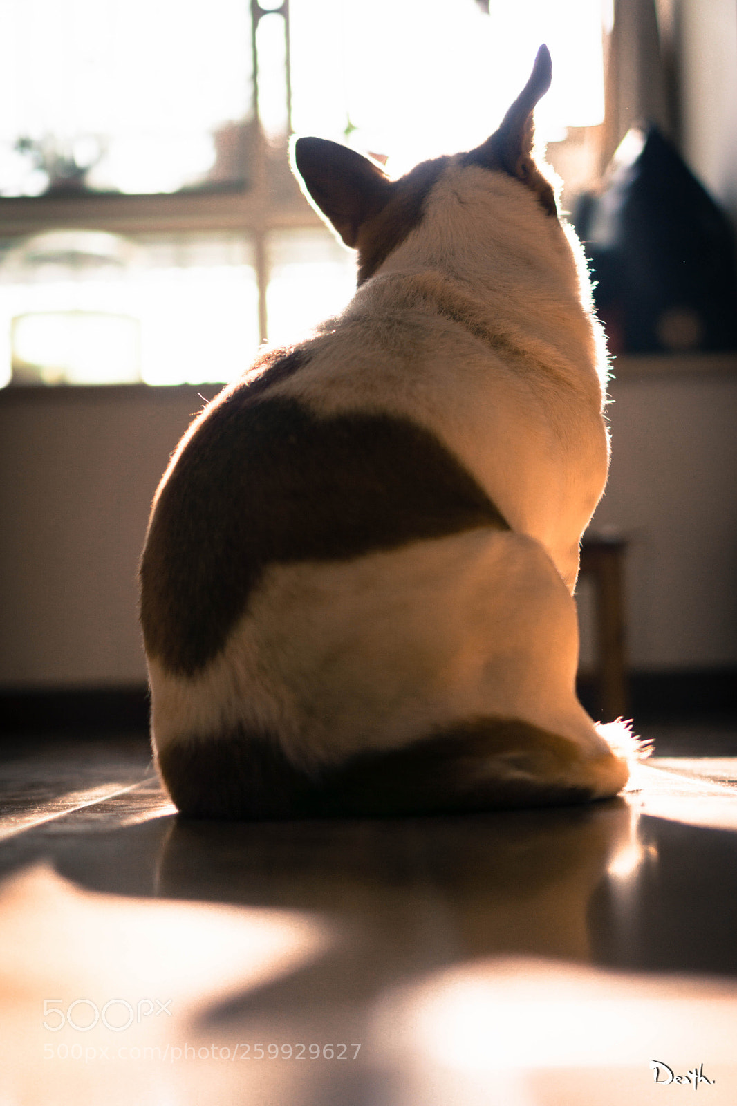 Sony a6000 sample photo. So much photography