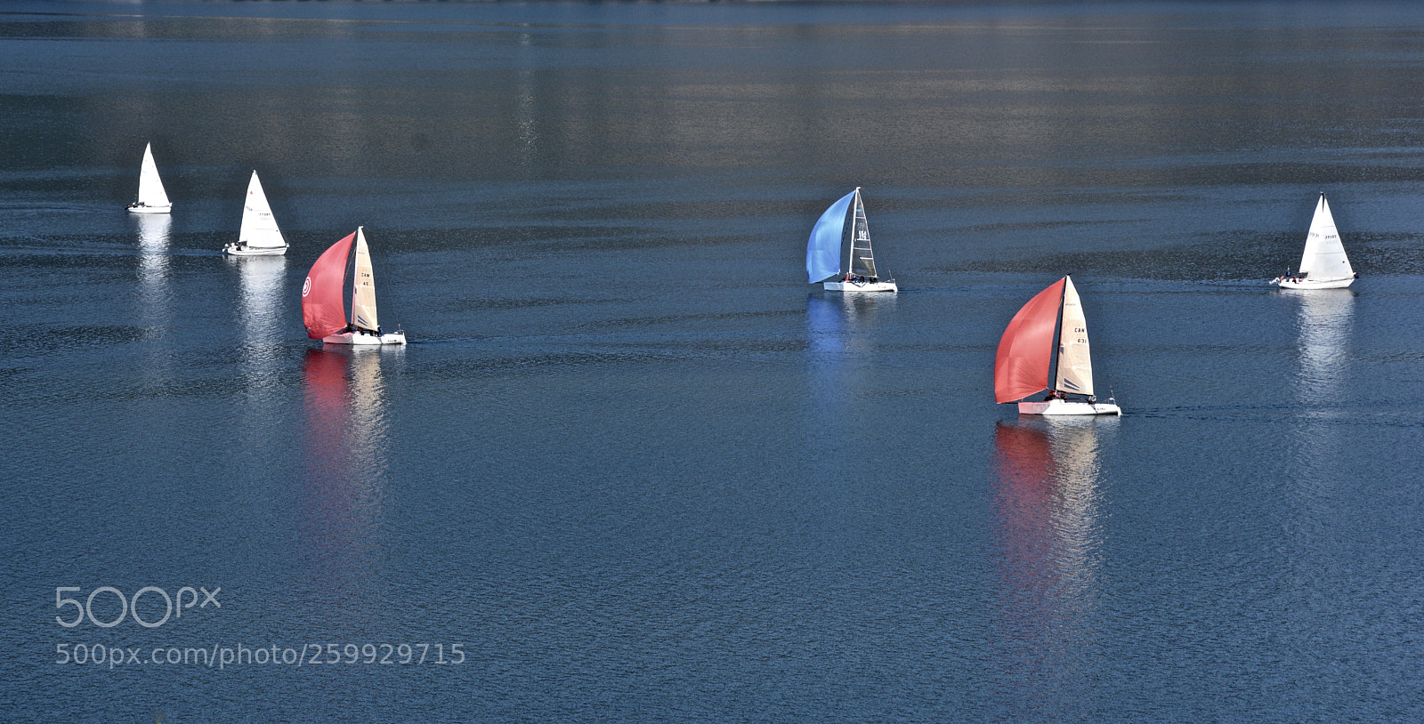Nikon D7100 sample photo. Sailboats on the lake photography