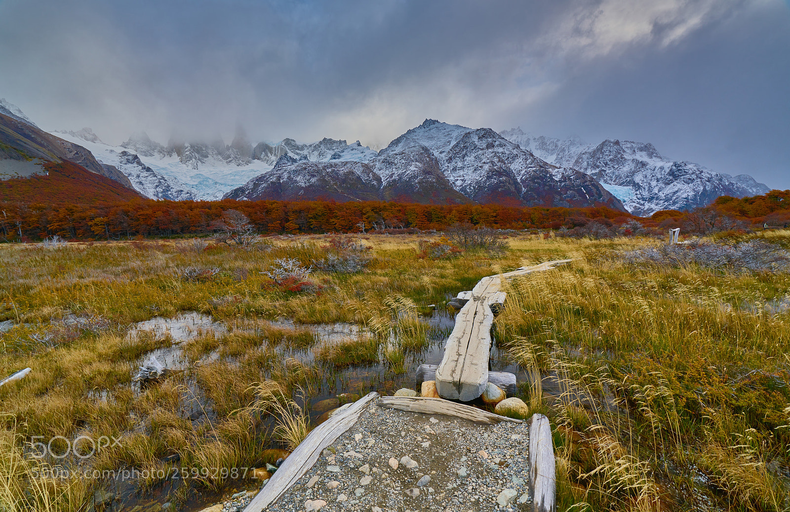 Sony a7R II sample photo. Landscape with autumn trees photography