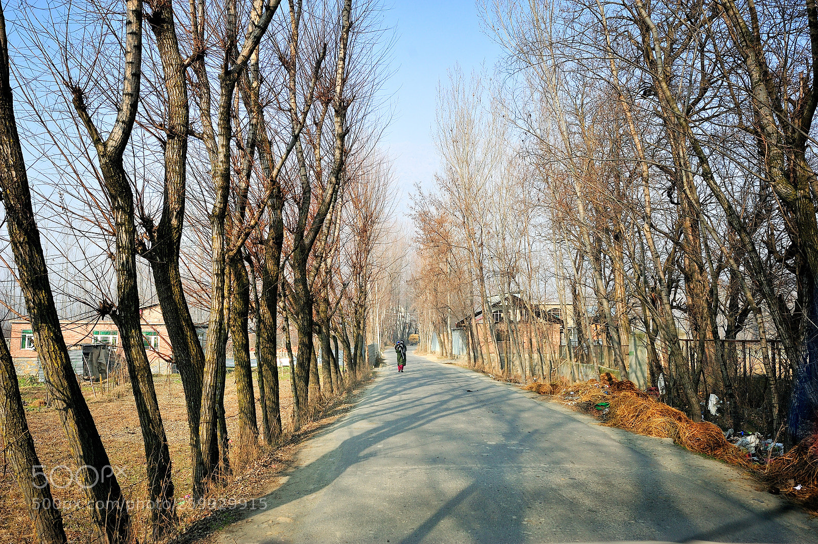 Nikon D700 sample photo. Himalaya photography