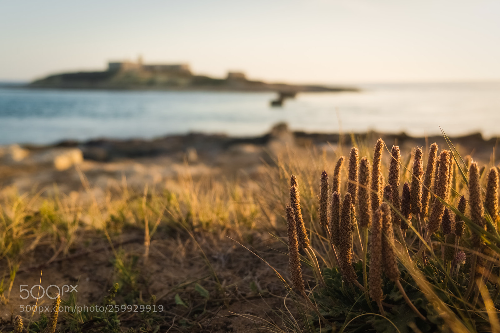 Fujifilm X-T20 sample photo. Isola delle correnti, sicily photography