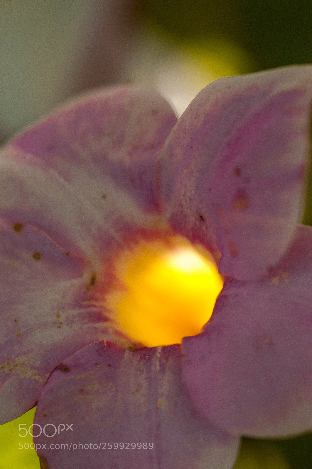 Nikon D90 sample photo. Light inside photography