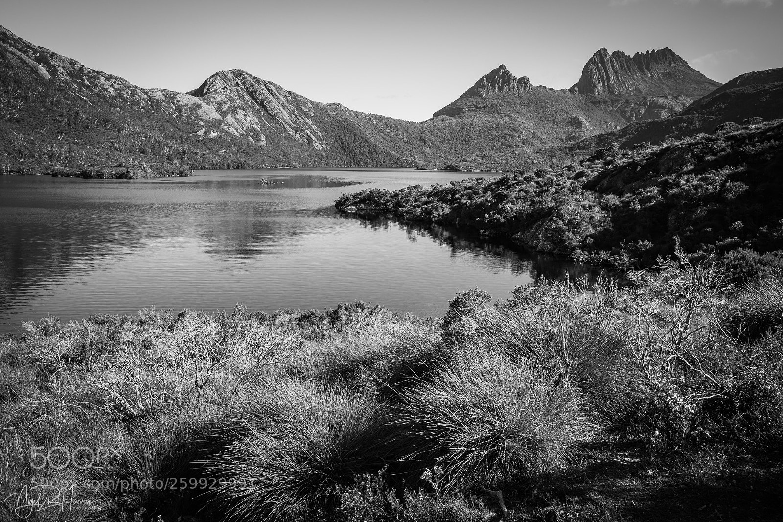 Canon EOS 5D Mark IV sample photo. Cradle mountain #2 photography