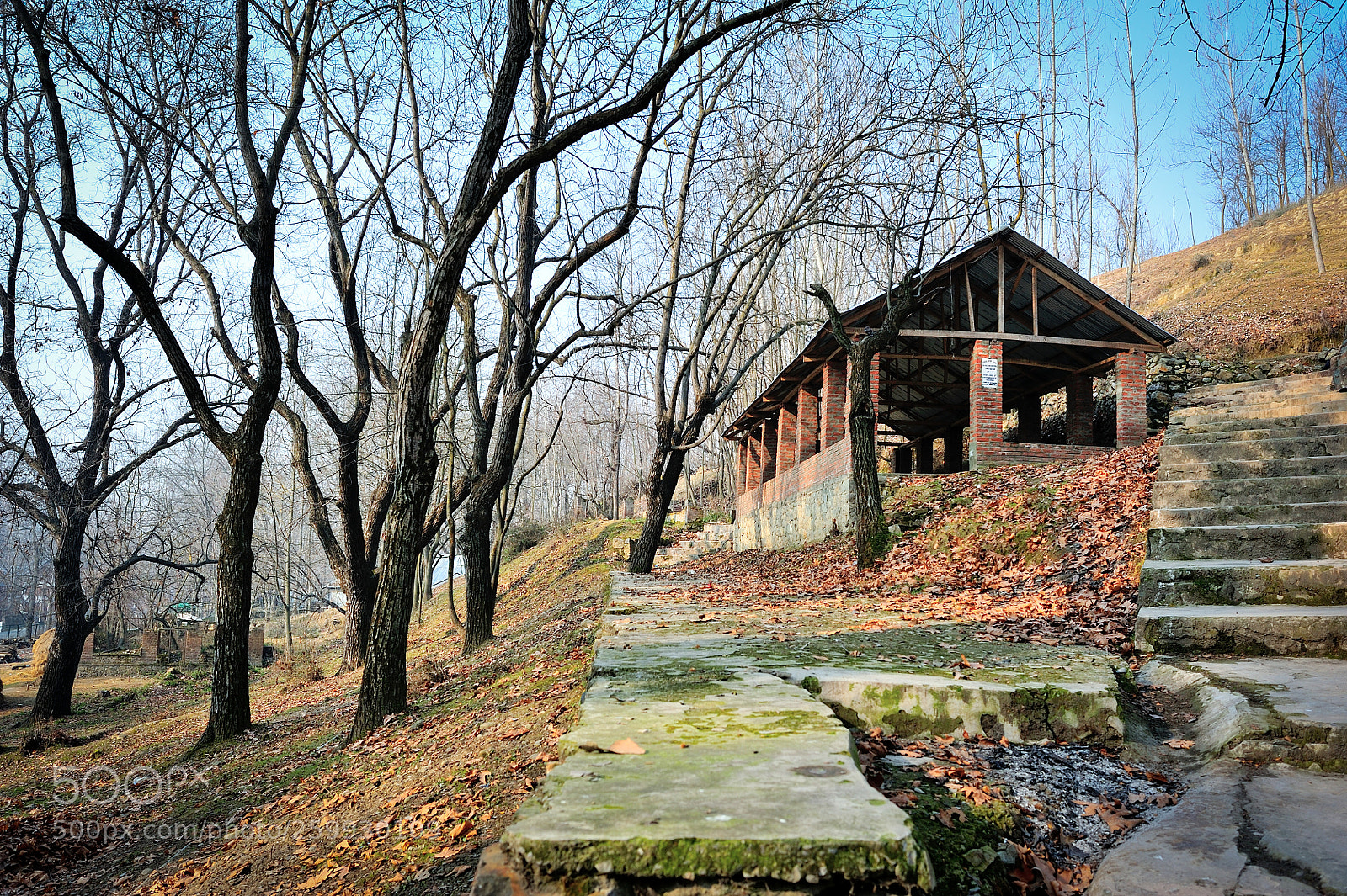 Nikon D700 sample photo. Woods photography