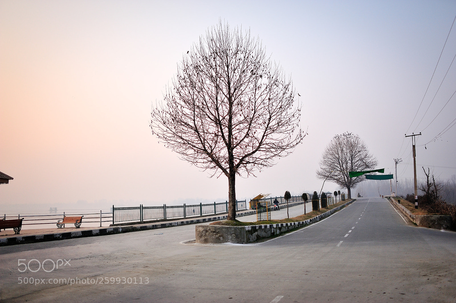 Nikon D700 sample photo. Road photography