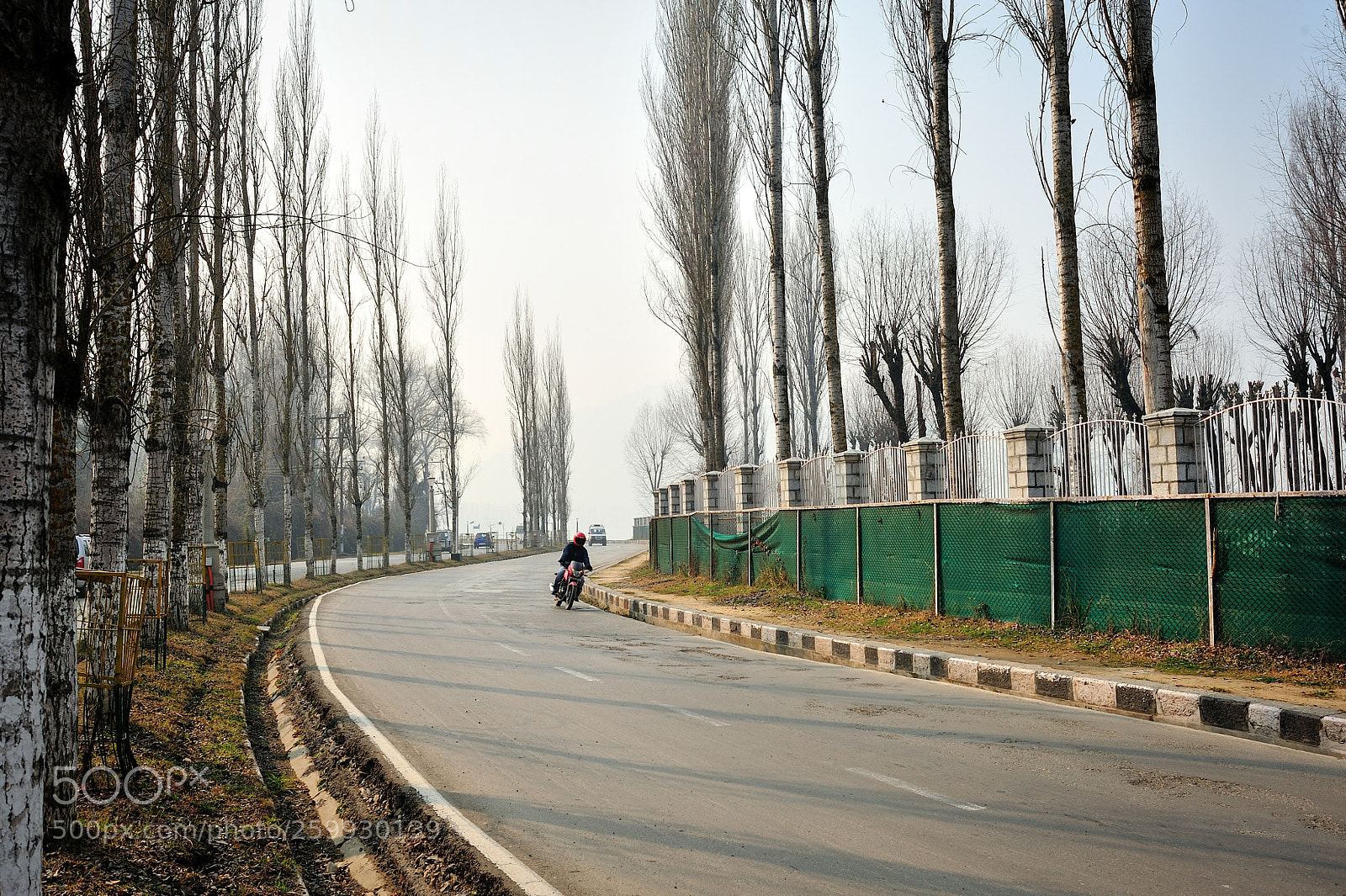 Nikon D700 sample photo. Road photography