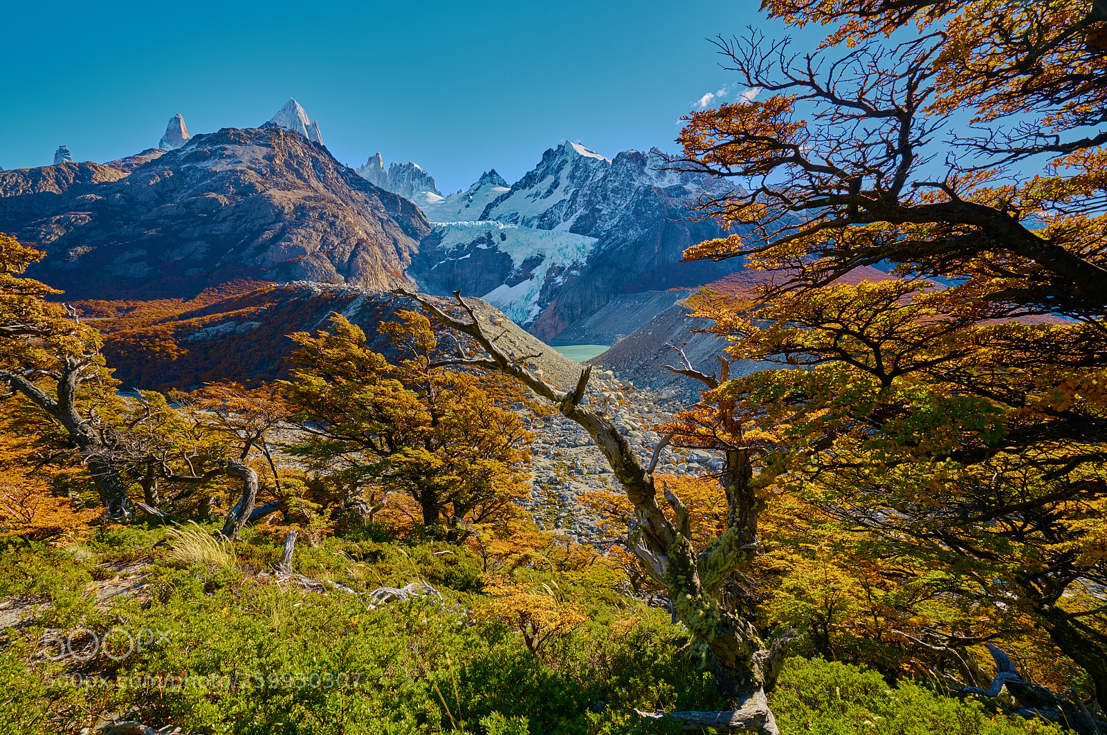 Sony a7R II sample photo. Landscape with autumn trees photography