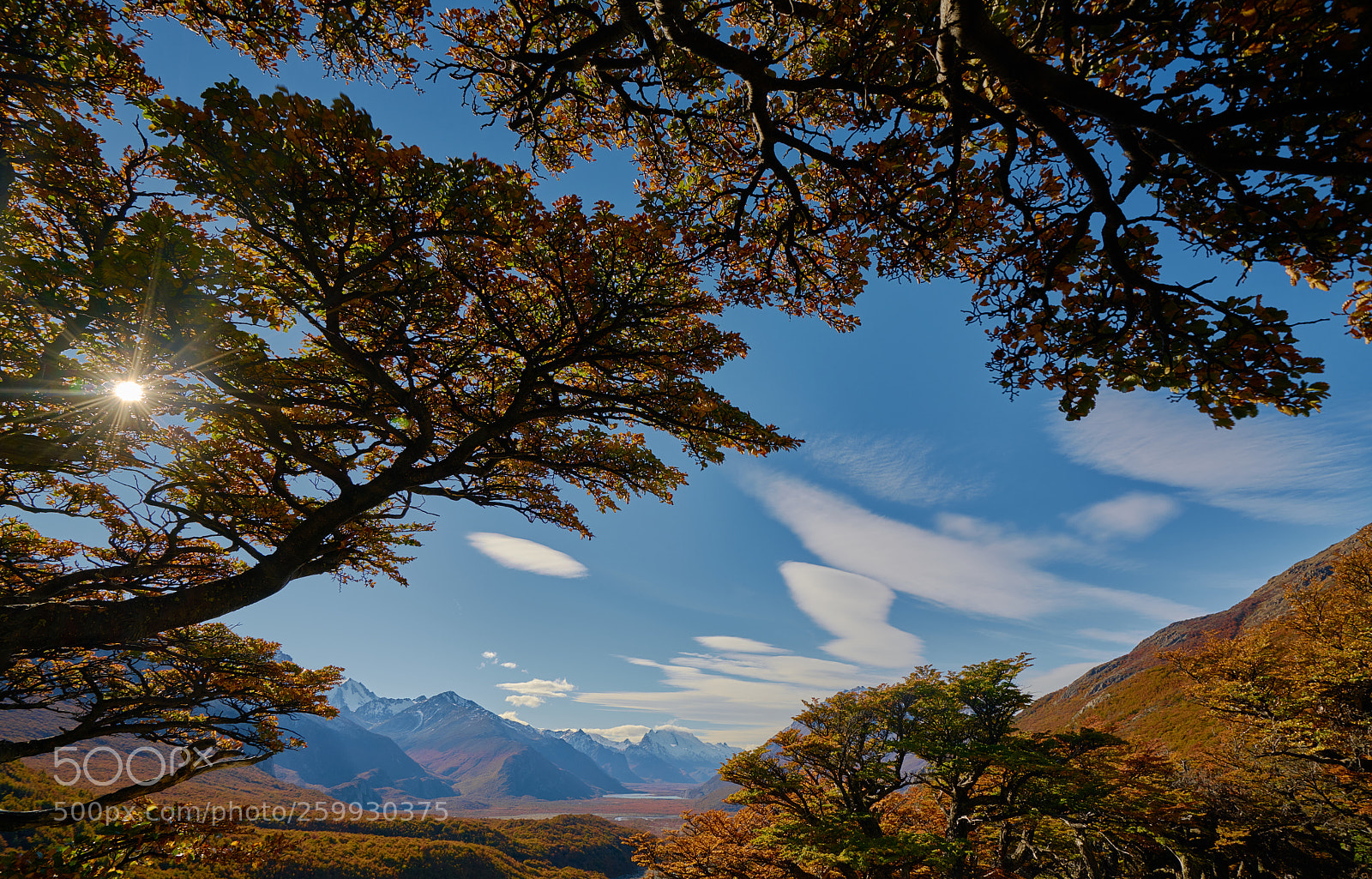 Sony a7R II sample photo. Landscape with autumn trees photography
