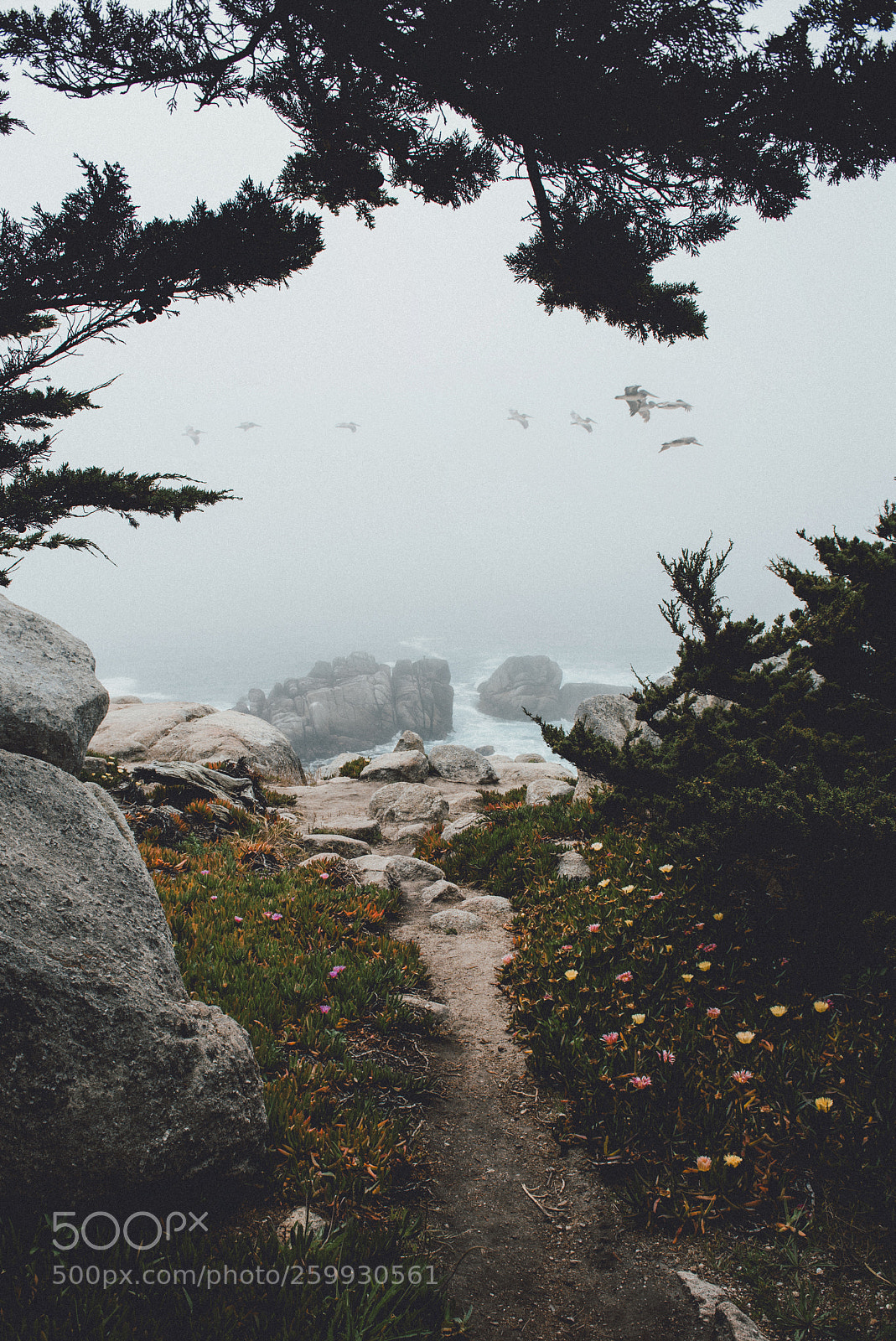Nikon D750 sample photo. Ocean mist photography
